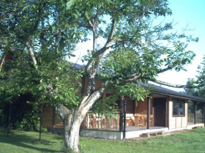 Pod Orzechem, Sanok